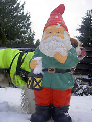 Image showing christmas gnome