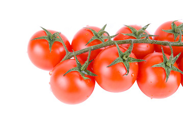 Image showing Ripe red tomatoes 