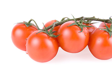 Image showing Ripe tomatoes