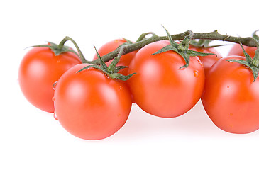 Image showing Ripe tomatoes