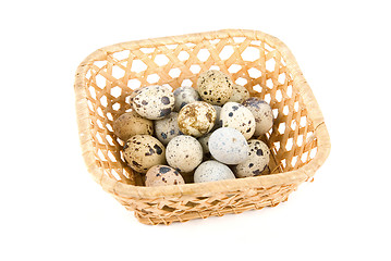 Image showing  quail eggs