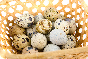 Image showing  quail eggs 