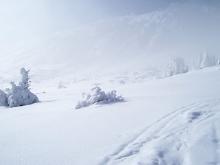 Image showing Frozen mountain