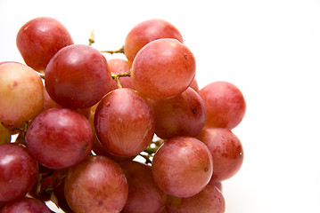 Image showing Close-up of Pink grape cluster 