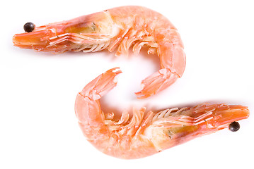 Image showing Two Shrimps