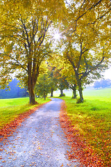 Image showing autumn nature