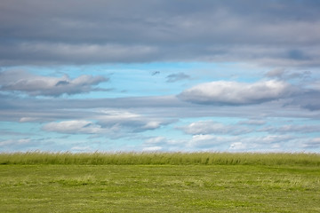 Image showing meadow