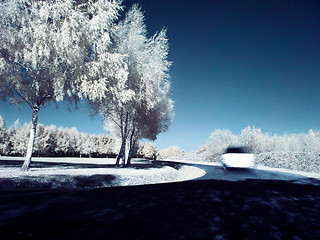 Image showing Driving in infrared