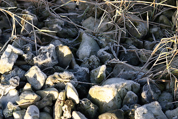 Image showing beach