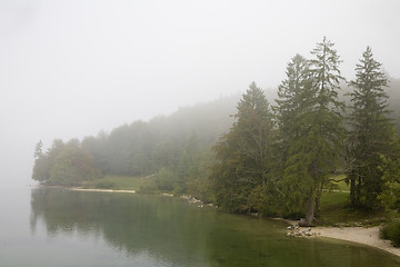 Image showing Lake Bohinj Slovenia
