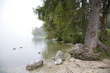 Image showing By Lake Bohinj Slovenia