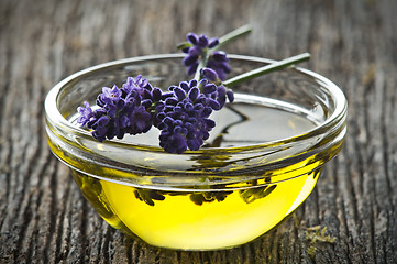 Image showing Lavender