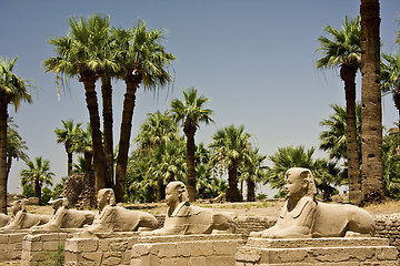 Image showing Luxor temple