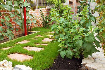 Image showing Garden in home yard