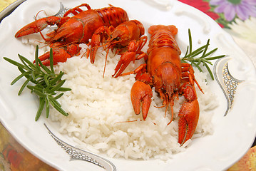 Image showing Crayfish meal