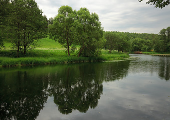 Image showing Summer landscape