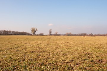 Image showing Field