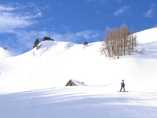 Image showing Snow