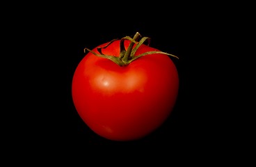 Image showing Tomato