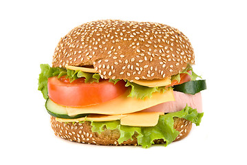 Image showing Tasty Hamburger 