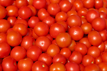 Image showing Tomatos on the Market