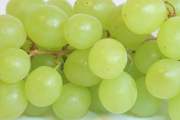 Image showing Grapes isolated on white