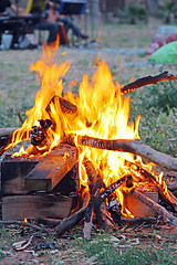 Image showing Fire on the picnic