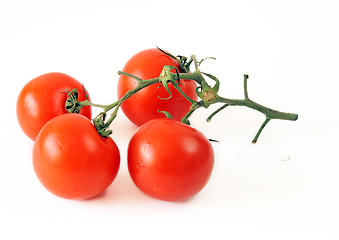 Image showing Red tomatoes