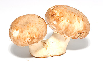 Image showing Fresh mushrooms isolated on white