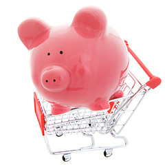 Image showing Shopping save