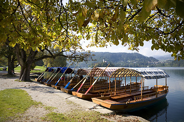 Image showing By Lake Bled Slovenia