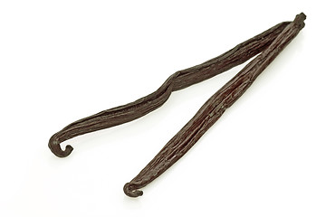Image showing Dried vanilla beans