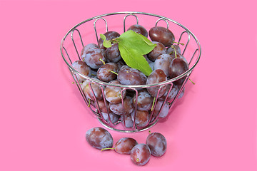 Image showing Fresh plums