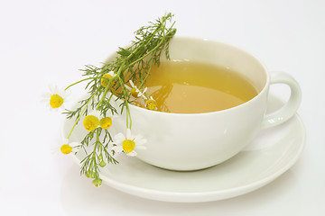 Image showing Camomile tea