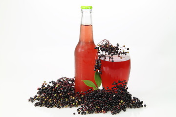 Image showing American elderberry lemonade