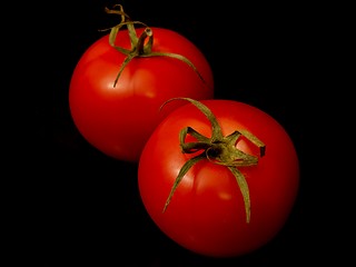 Image showing Tomato