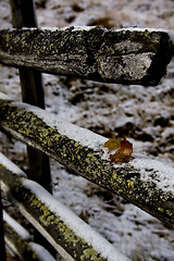 Image showing old wooden fence