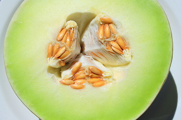 Image showing Honeydew Melon