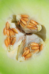 Image showing Honeydew Melon