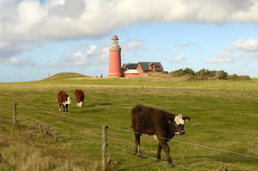 Image showing Bovbjerg fyr