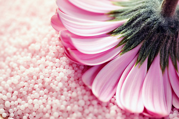 Image showing bath salt with gerbera