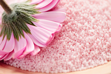 Image showing bath salt with gerbera