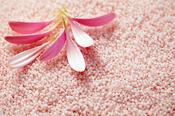 Image showing bath salt with gerbera