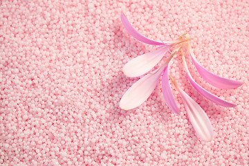 Image showing bath salt with gerbera