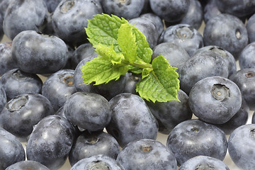 Image showing Blueberries