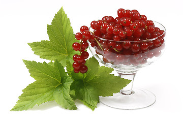 Image showing Red currants