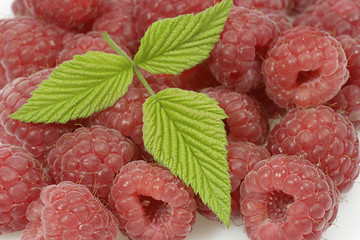 Image showing Raspberries