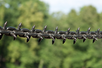 Image showing Chain with thorn