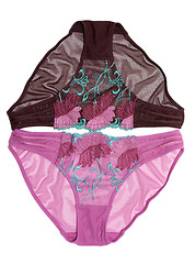 Image showing Pair feminine panties