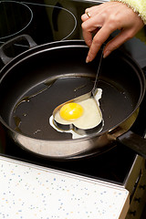 Image showing Fried egg